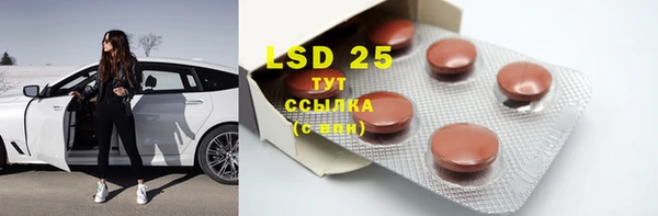 PSILOCYBIN Абаза