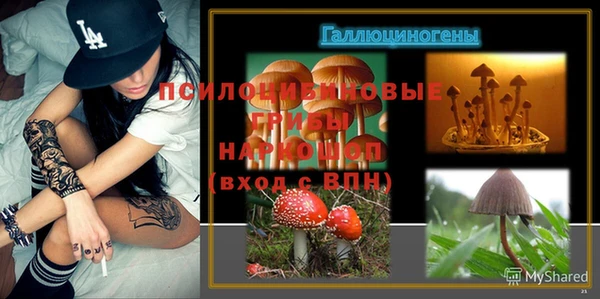 гидра Абинск