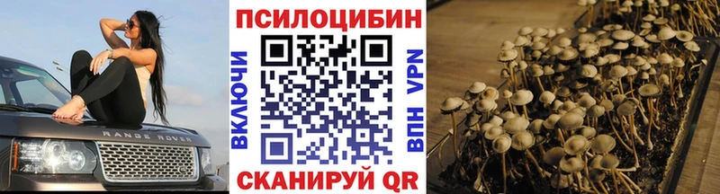 Галлюциногенные грибы Psilocybe Кирсанов